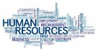  Human Resources